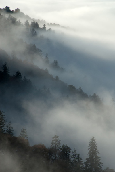 Fog over mountains