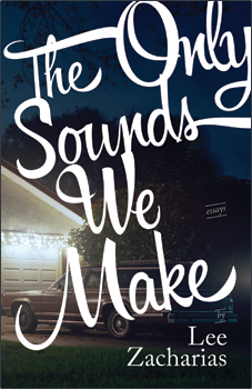 Book cover for The Only Sounds We Make